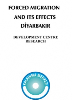 Forced Immigration and Its Effects: Diyarbakir