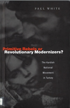 Primitive Rebels or Revolutionary Modernizers?