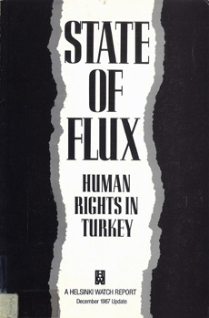 State of Flux: Human Rights in Turkey