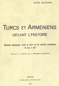 Turcs et Arméniens devant l'histoire