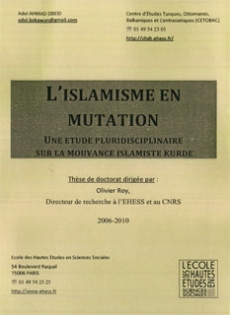 Islamisme en Mutation