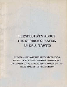 Perspectives About the Kurdish Question