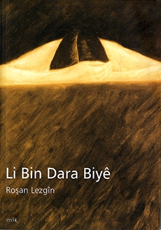 Li Bin Dara Biyê