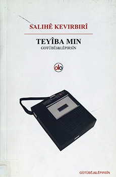 Teyîba Min: Gotûbêj & Lêpirsîn