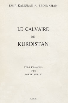 Le calvaire du Kurdistan